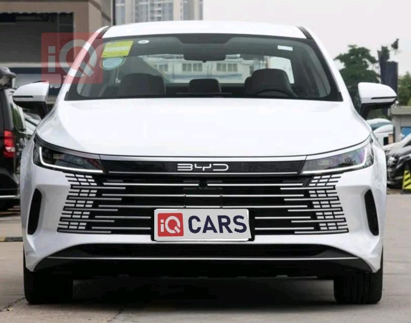 BYD Destroyer 05